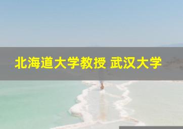 北海道大学教授 武汉大学